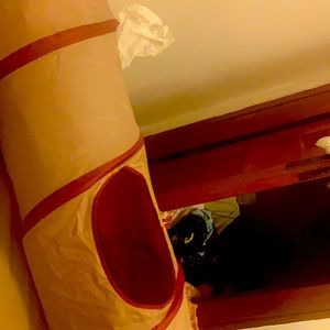 Cat tunnel toy